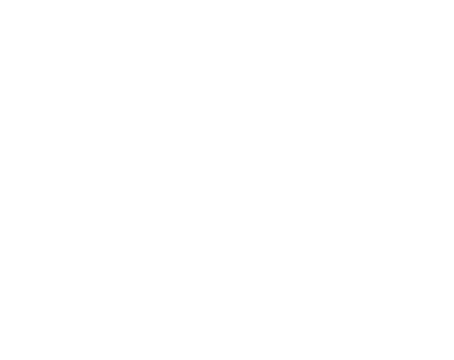 Ojiva