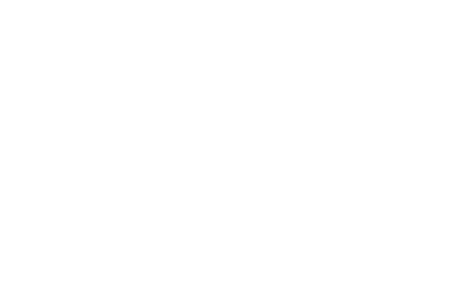Swarovski